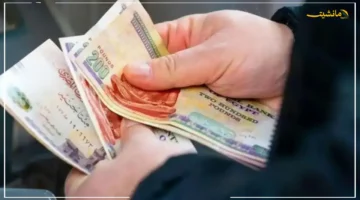 بشرى سارة.. حزمة حماية اجتماعية جديدة ترفع رواتب العاملين بالدولة وتوسع التعيينات 1